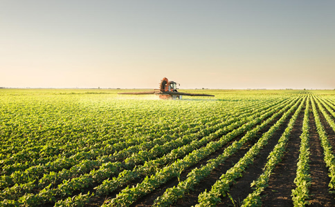 2020國內知名農業獵頭公司有哪些？